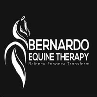 BERNARDO EQUINE